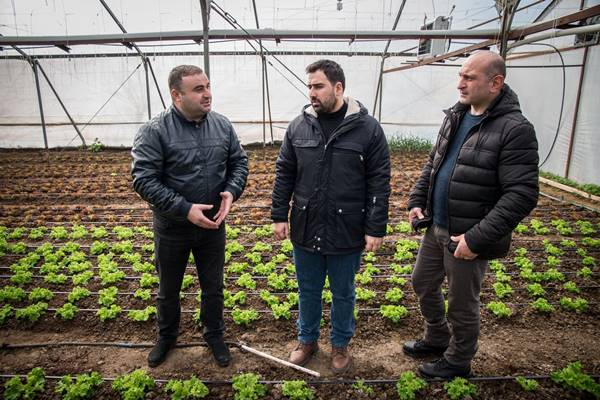 The new greenhouse was constructed  in Kareli Municipality.