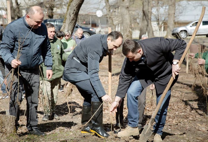  Forest Restoration Project Has Started in Surami Borough 