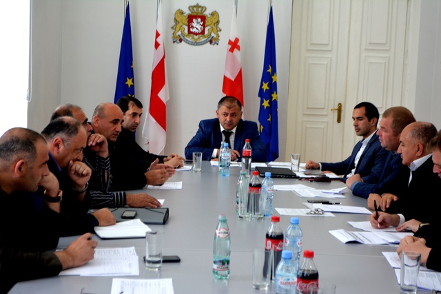 Regional Consultative Session was held in the assembly hall of Shida Kartli Governors administration