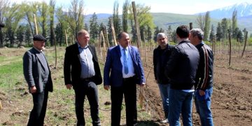 „დანერგე მომავალის“ პროექტის ფარგლებში გომში ახალი ხეხილის ბაღი გაშენდა