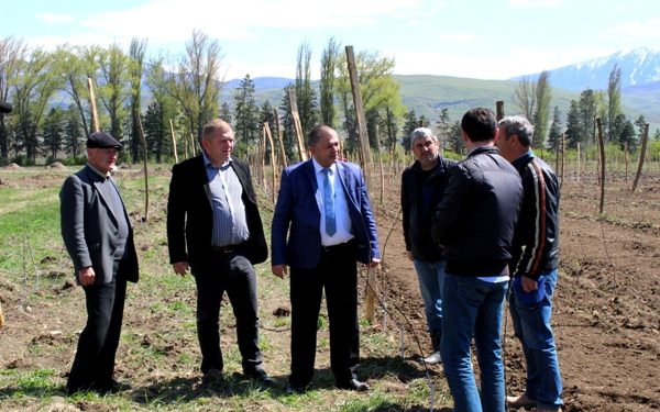 „დანერგე მომავალის“ პროექტის ფარგლებში გომში ახალი ხეხილის ბაღი გაშენდა