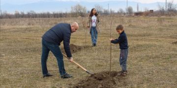 ერგნეთ-მამისაანთუბნის საჯარო სკოლის ეზოში ქართულ-ოსური მეგობრობის ხეივანი გაშენდა.