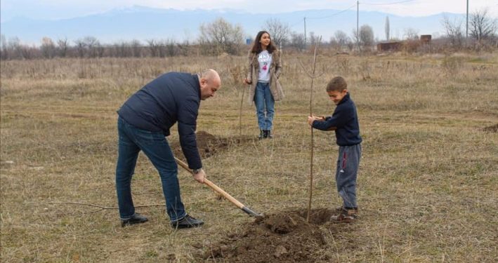 ერგნეთ-მამისაანთუბნის საჯარო სკოლის ეზოში ქართულ-ოსური მეგობრობის ხეივანი გაშენდა.