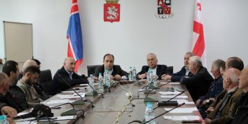 პროექტის „საჯარო მმართველობის რეფორმის მხარდაჭერა საქართველოში“ ფარგლებში შიდა ქართლში შეხვედრა გაიმართა