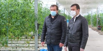 ბერბუკში მდებარე პომიდვრის სათბური შეუფერხებლად განაგრძობს საქმიანობას