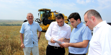 საოკუპაციო ხაზის მიმდებარე სოფლებში მოსავლის აღება აქტიურად მიმდინარეობს