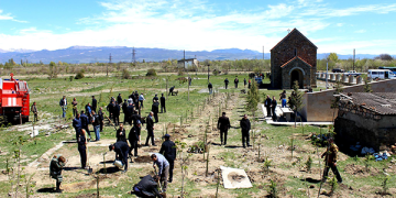 სდსს–ს თანამშრომლებმა შინდისში გმირთა მემორიალი გაამწვანეს