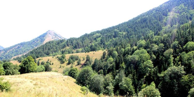 გომარეთის ხეობა