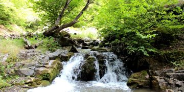 გომარეთის ხეობა