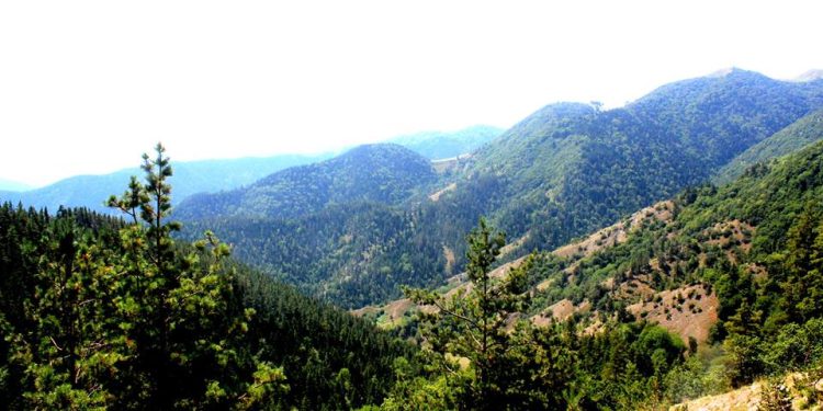 ფოტოგალერეა