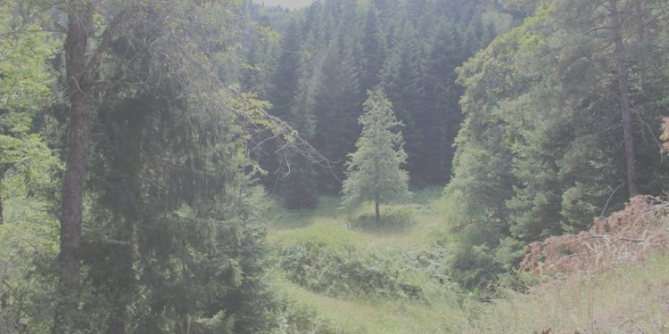 გომარეთის ხეობა