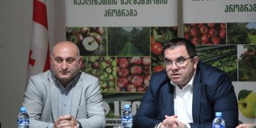 არასტანდარტული ვაშლის რეალიზაციის ხელშეწყობის მიზნით, ქალაქ გორში საკოორდინაციო შტაბი გაიხსნა