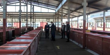 გორის აგრარული ბაზარი ფუნქციონირებას განაახლებს