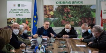 არასტანდარტული ვაშლის რეალიზაციის შედეგად ფერმერებმა 9 მლნ. ლარის შემოსავალი მიიღეს