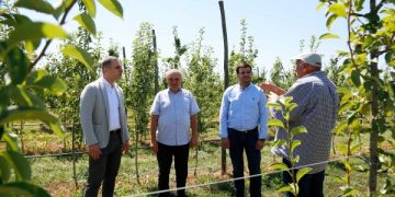 სოფელ მეჯვრისხევში, სახელმწიფო პროგრამით „დანერგე მომავალი“ გაშენებულ ბაღში პირველ მოსავალს ელოდებიან