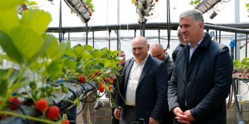 პროექტის „საჯარო მმართველობის რეფორმის მხარდაჭერა საქართველოში“ ფარგლებში შიდა ქართლში შეხვედრა გაიმართა