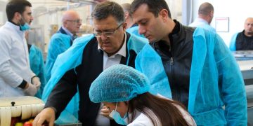 ვაშლის მოსავლის აღება აქტიურ ფაზაში შედის