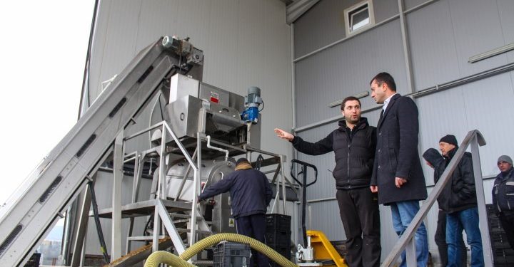 არასტანდარტული ვაშლის ჩაბარების ფასი რეგიონის სამ საწარმოში 10 თეთრამდე გაიზარდა