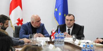 გორში სპორტის კომიტეტის გასვლითი სხდომა გაიმართა