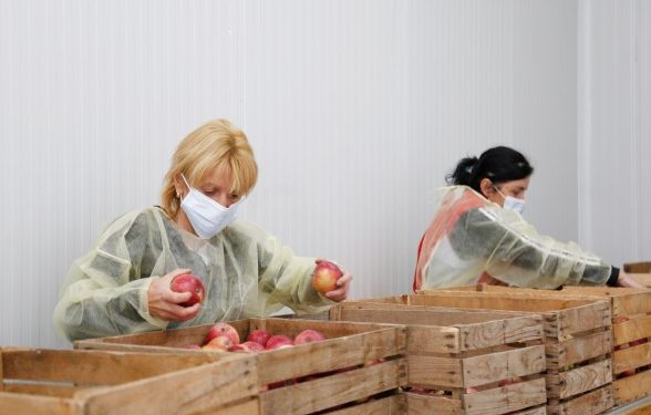 სოფელ ყელქცეულში ახალი სამაცივრე მეურნეობა მოეწყო