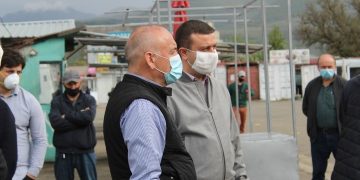 შიდა ქართლში ხვალ კიდევ ერთი აგრარული ბაზარი გაიხსნება