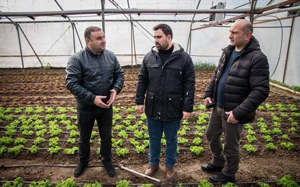 ქარელის რაიონში ახალი სასათბურე მეურნეობა მოეწყო