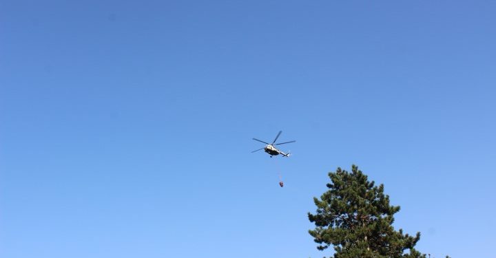 ხაშურში, სოფელ ცედანის ტყეში ხანძარი ლიკვიდირებულია