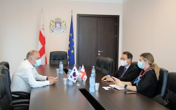 ვალერიან მჭედლიძე კორეის რესპუბლიკის ელჩს საქართველოში დაესუ ჩანგს შეხვდა