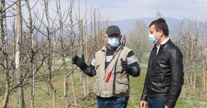 შიდა ქართლში სასოფლო სამეურნეო სამუშაოები მიმდინარეობს