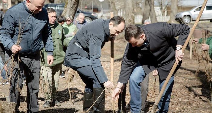 დაბა სურამში ტყის აღდგენის პროექტი დაიწყო