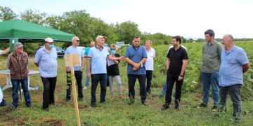 ,,ფერმერთა დღესთან” დაკავშირებით FinExCoop საქართველომ პროექტის შედეგები შეაჯამა