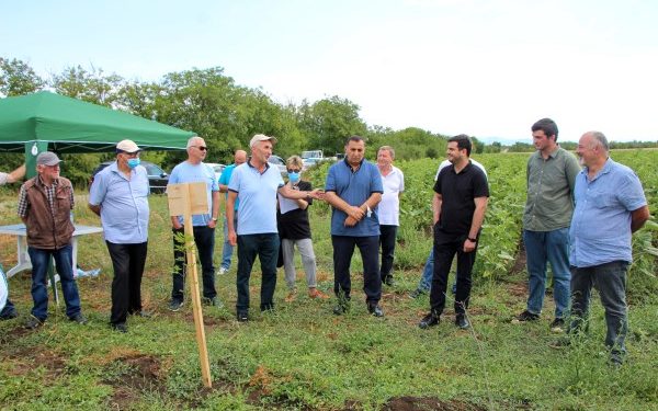 ,,ფერმერთა დღესთან” დაკავშირებით FinExCoop საქართველომ პროექტის შედეგები შეაჯამა