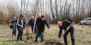 ფერმერ ალექსანდრე კოპაძეს 150 ნერგი უსასყიდლოდ გადაეცა