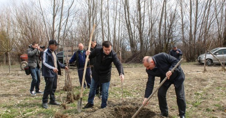 ფერმერ ალექსანდრე კოპაძეს 150 ნერგი უსასყიდლოდ გადაეცა