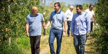 სოფელ კარალეთში სეტყვისგან დამცავი ბადეები მოეწყო