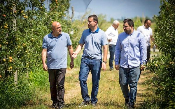 სოფელ კარალეთში სეტყვისგან დამცავი ბადეები მოეწყო