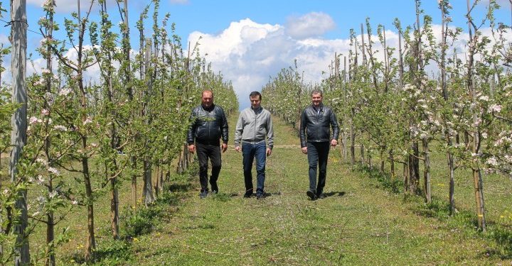 შიდა ქართლში სასოფლო-სამეურნეო სამუშაოები აქტიურად მიმდინარეობს