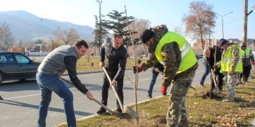 გორში გალაკტიონის ხეივანი მოეწყო