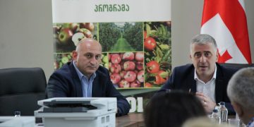 საქართველოს დამოუკიდებლობის დღესთან დაკავშირებით გორში ღონისძიებები გაიმართა