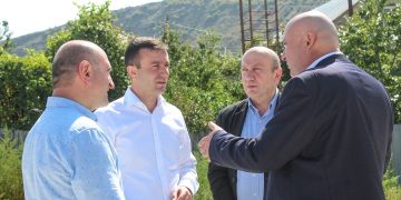 შიდა ქართლის გუბერნატორი გორში მიმდინარე პროექტებს გაეცნო