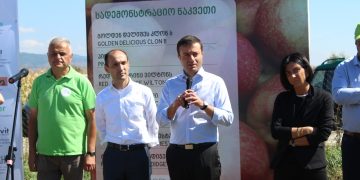 შიდა ქართლის გუბერნატორმა გარემოს დაცვისა და სოფლის მეურნეობის მინისტრთან ერთად ვაშლის მსხმოიარე ბაღი დაათვალიერა