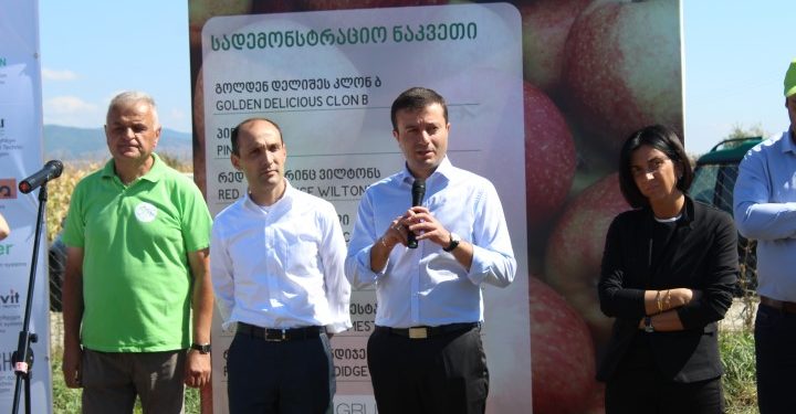 შიდა ქართლის გუბერნატორმა გარემოს დაცვისა და სოფლის მეურნეობის მინისტრთან ერთად ვაშლის მსხმოიარე ბაღი დაათვალიერა