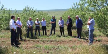 კასპელ ფერმერებს სოფლის მეურნებიოს ანტიკრიზისული გეგმა გააცნეს