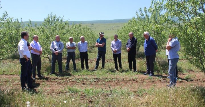 კასპელ ფერმერებს სოფლის მეურნებიოს ანტიკრიზისული გეგმა გააცნეს