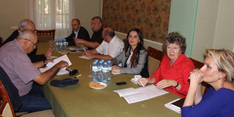 გორში დევნილთა საარსებო წყაროების შექმნის სამოქმედო გეგმის საკითხებზე იმსჯელეს