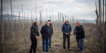 საოკუპაციო ხაზთან ხეხილის ბაღი გაშენდა