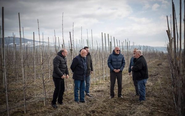 საოკუპაციო ხაზთან ხეხილის ბაღი გაშენდა