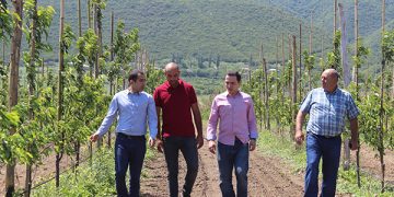 ერთიანი აგროპროექტის ფარგლებში შიდა ქართლის რეგიონში ახალი ხეხილის ბაღი გაშენდა