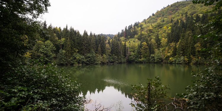 ქარელის ტურისტული ობიექტები