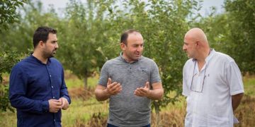 „ერთიანი აგროპროექტის“ ფარგლებში ფერმერმა დაფინანსება მიიღო